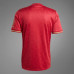 FC Bayern Mens Anniversary Soccer Jersey 2024