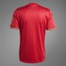 FC Bayern Mens Anniversary Soccer Jersey 2024