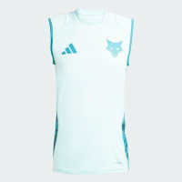 Cruzeiro Mens Training Tank Top 2025