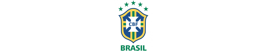 Brazil National Football Team 