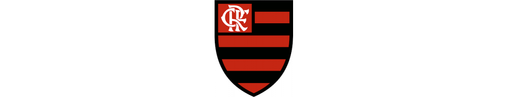 Clube De Regatas Do Flamengo 