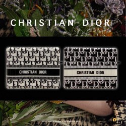 Christian Dior Style Luggage Glossy Square Protective Case for Apple Airpods Pro
