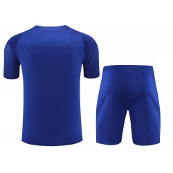 FC Barcelona Men Short Sleeves Football Kit Klein Blue 2024