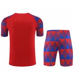FC Barcelona Men Short Sleeves Football Kit Red 2024