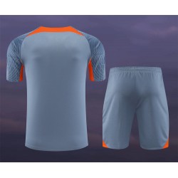 Football Club Internazionale Milano Men Short Sleeves Football Kit Gray 2024