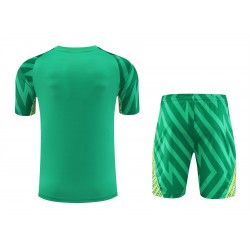 Manchester City FC Men Goalkeeper Short Sleeves Football Kit Green 2024